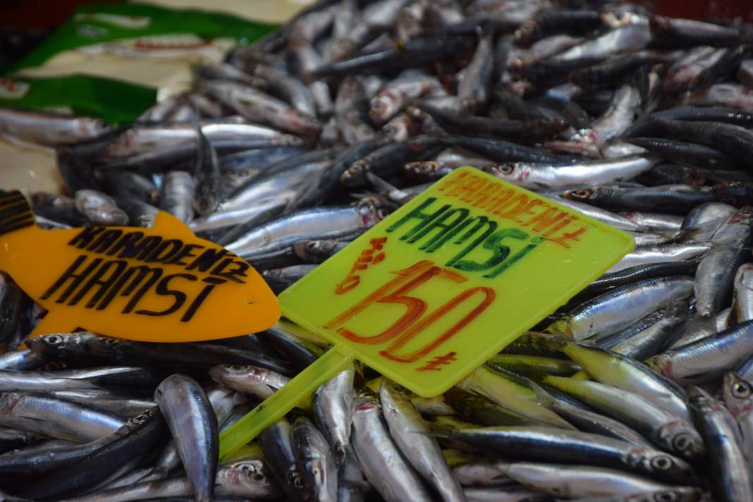 Konya’da balık fiyatları tavuktan ucuz! Tezgâhlarda hamsi bereketi başladı 3
