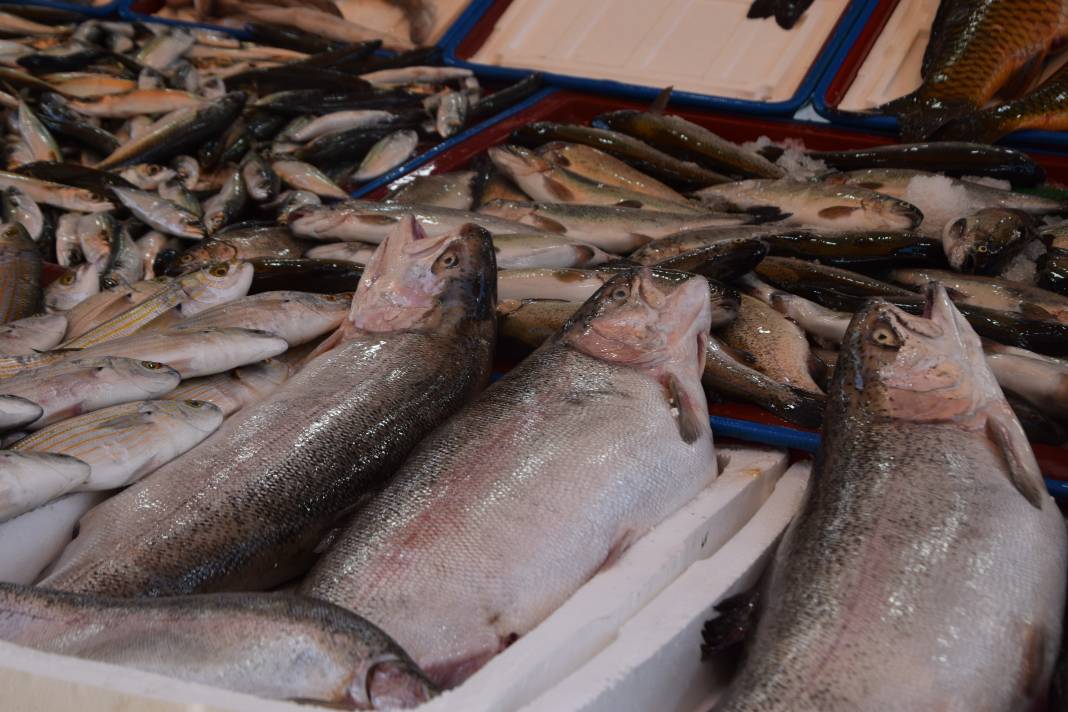 Konya’da balık fiyatları tavuktan ucuz! Tezgâhlarda hamsi bereketi başladı 1