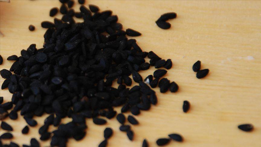 Ölüm hariç bin bir derde deva oluyor! 8