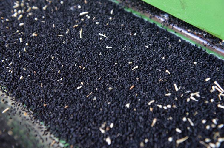 Ölüm hariç bin bir derde deva oluyor! 5