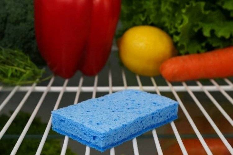 Bulaşık süngerini çöpe atmayın! Buzdolabında işe yarıyor 1