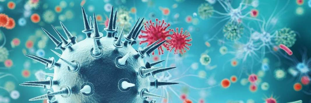 Yapanlar hastalıktan kurtuluyor! Virüslerin ve mikropların baş düşmanı 1