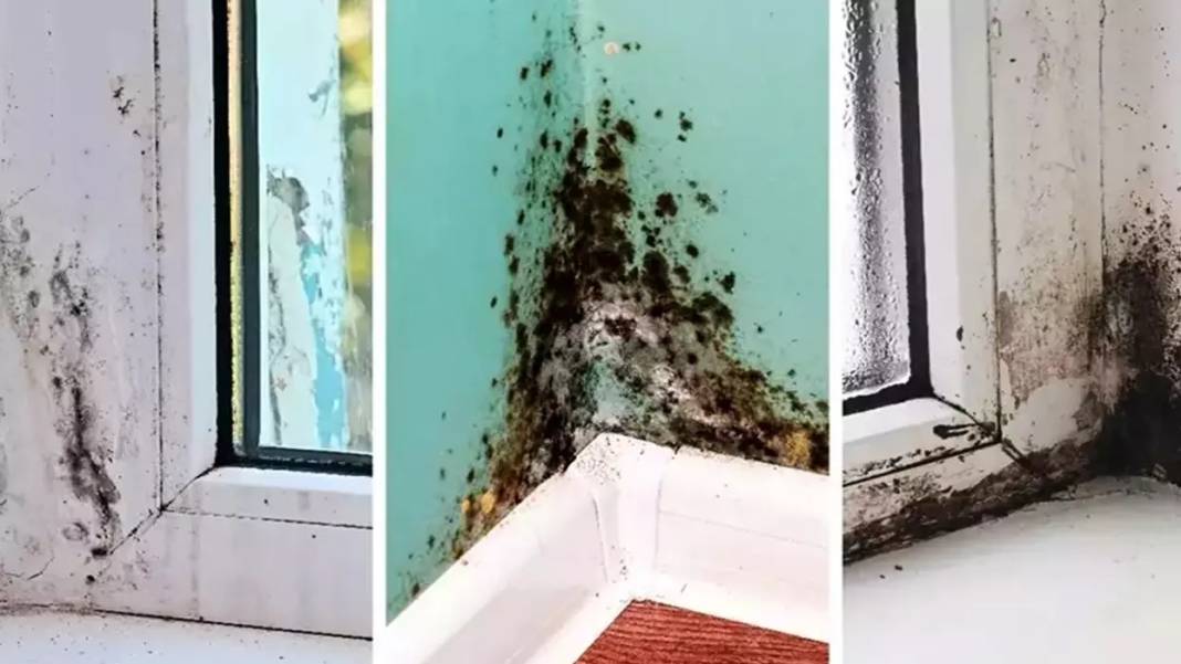 Hem evinizi kötü gösteriyor, hem sağlık açısından zararlı: İşte rutubeti geçiren yöntemler 3