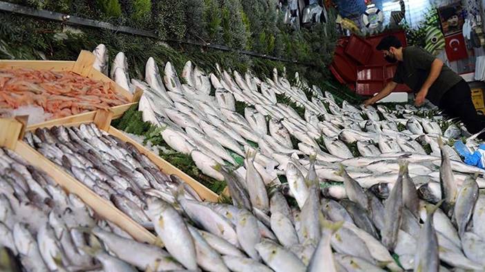 Palamutta da hile! Farkları tek tek sıraladık: Balıkçılar vatandaşı kandırıyor! 16