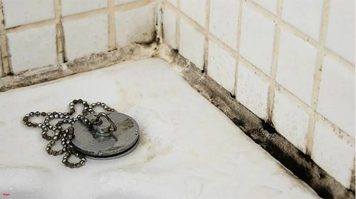 Hem evinizi kötü gösteriyor, hem sağlık açısından zararlı: İşte rutubeti geçiren yöntemler 11