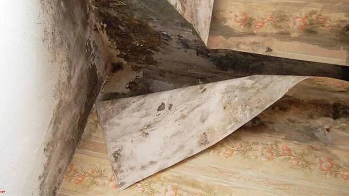 Hem evinizi kötü gösteriyor, hem sağlık açısından zararlı: İşte rutubeti geçiren yöntemler 12