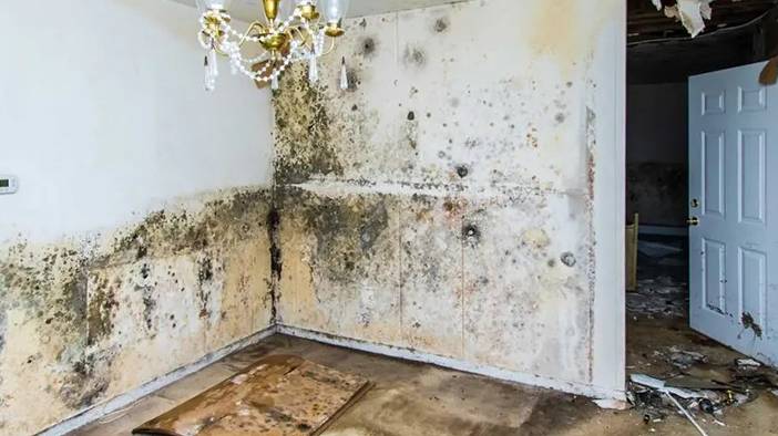 Hem evinizi kötü gösteriyor, hem sağlık açısından zararlı: İşte rutubeti geçiren yöntemler 13