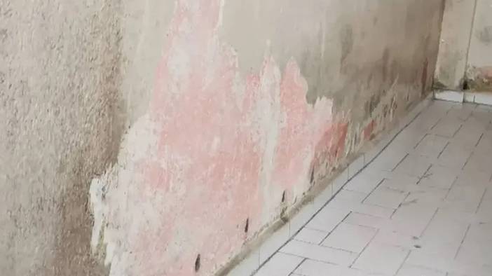Hem evinizi kötü gösteriyor, hem sağlık açısından zararlı: İşte rutubeti geçiren yöntemler 16