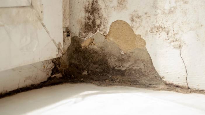 Hem evinizi kötü gösteriyor, hem sağlık açısından zararlı: İşte rutubeti geçiren yöntemler 17