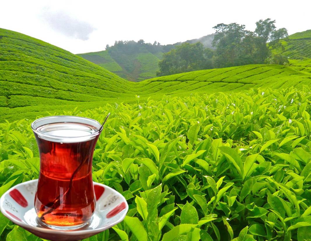 Çayın tadını zirveye taşıyan pratik demleme yöntemleri 9