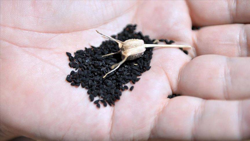 Ölüm hariç bin bir derde deva oluyor! 4