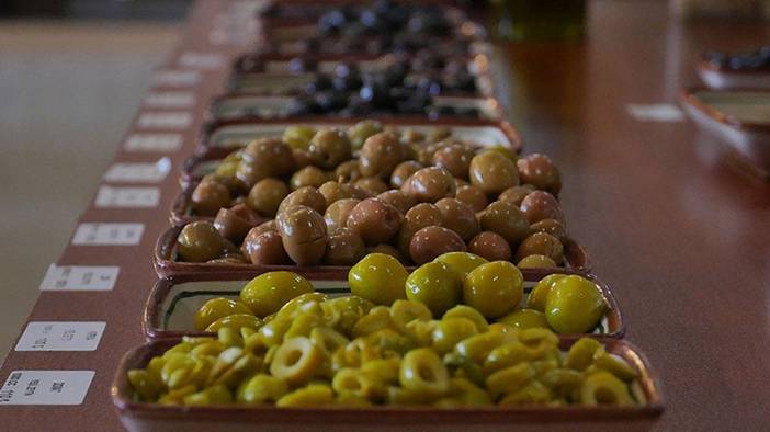 Bilmediğimiz çok faydası varmış: İşte zeytin çekirdeği yutmanın yararları 5