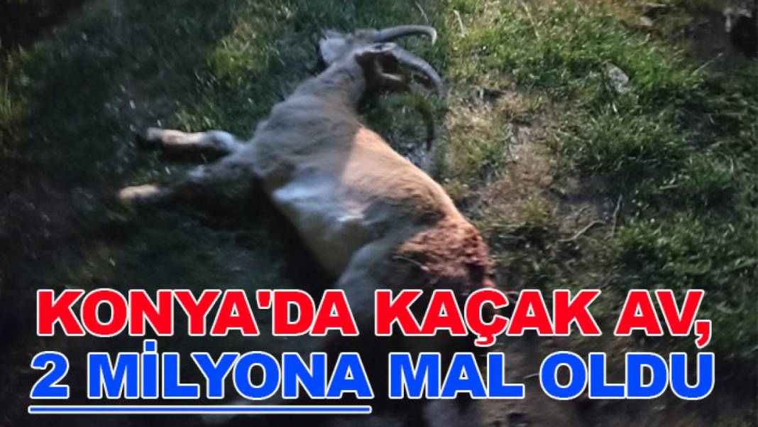 Konya’da bugün neler oldu? İşte günün önemli gelişmeleri 3 Kasım 2025 2