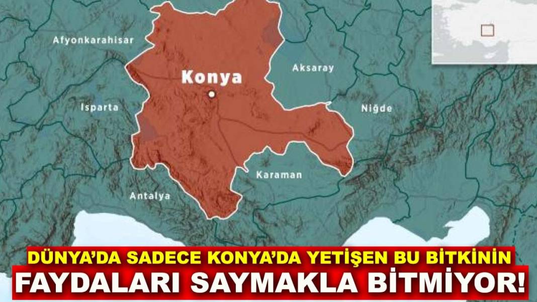 Konya’da bugün neler oldu? İşte 6 Kasım'da dikkat çeken olaylar 10