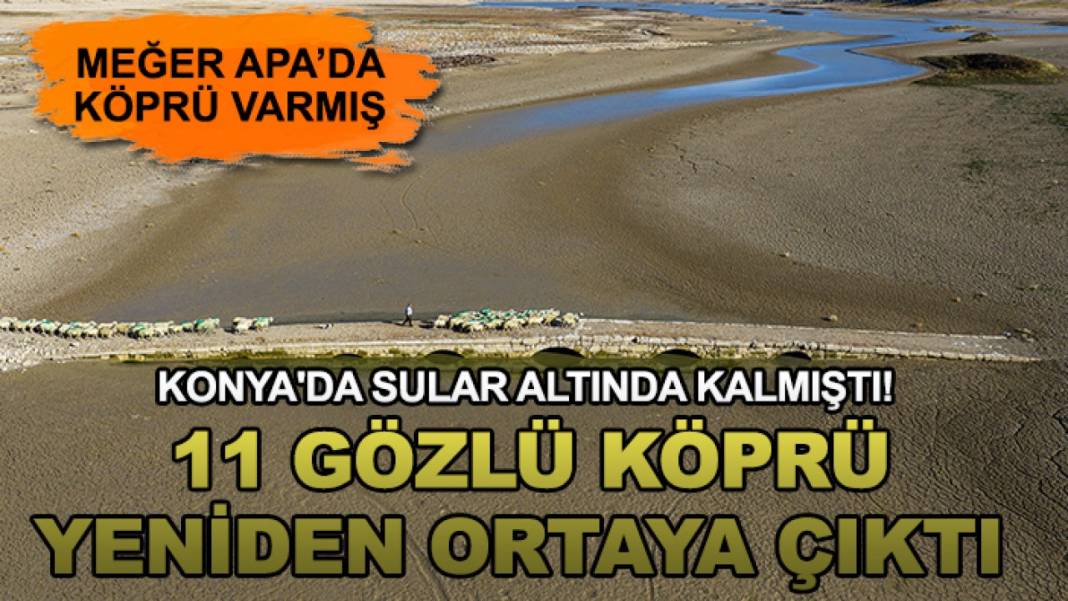Konya’da bugün neler oldu? 11 Kasım 2025’in öne çıkan gelişmeleri 5