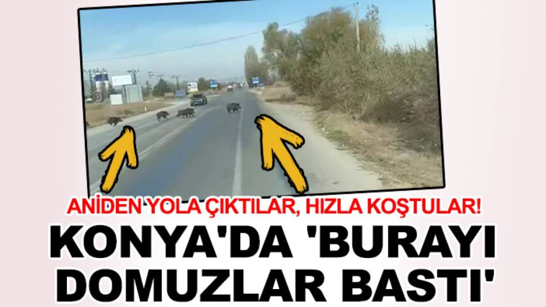 Konya’da bugün neler oldu? İşte 20 Kasım günün önemli gelişmeleri 4