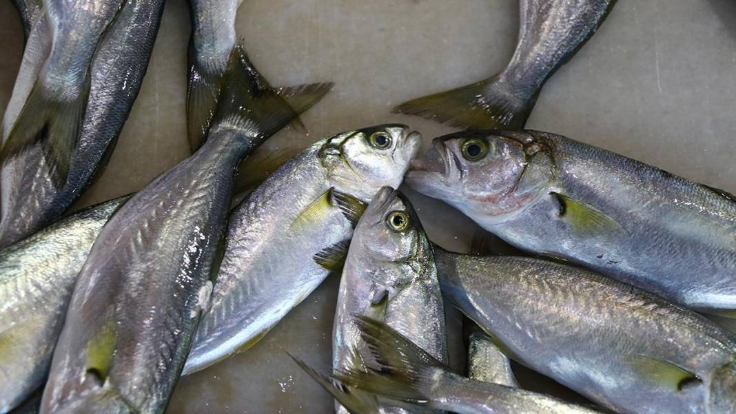 Balığa limon sıkılır mı, sıkılmaz mı? Uzmanlardan net açıklama 4