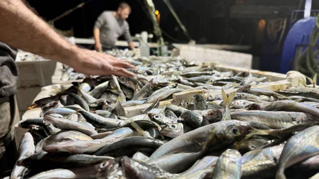 Balığa limon sıkılır mı, sıkılmaz mı? Uzmanlardan net açıklama 5
