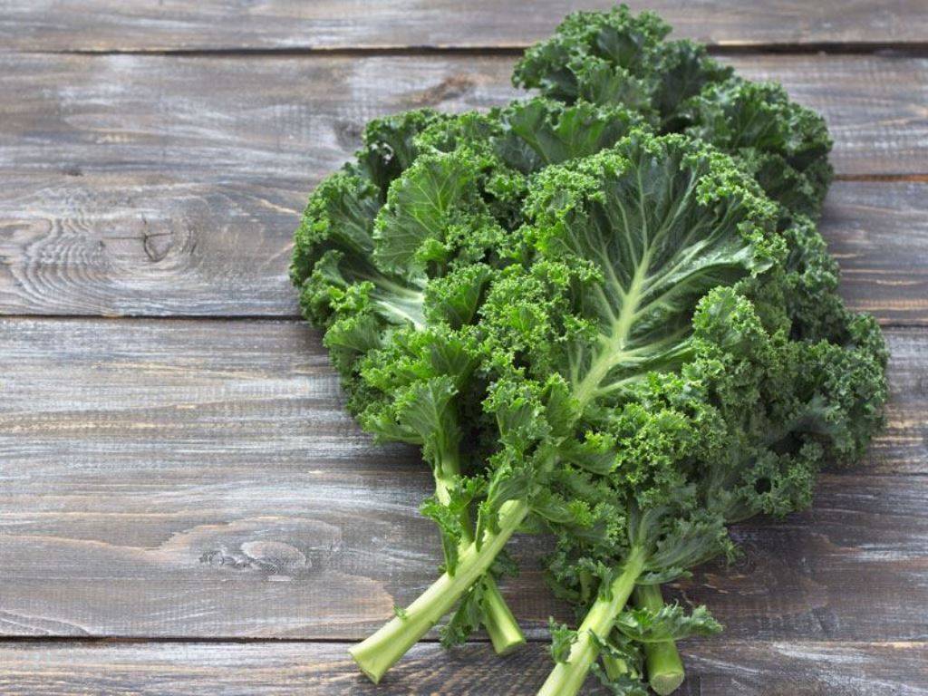 Hastalıklara kalkan olan bu sebze suları bağışıklığı güçlendiriyor! 6