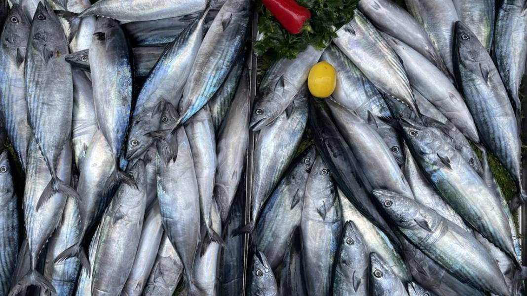 Balığa limon sıkılır mı, sıkılmaz mı? Uzmanlardan net açıklama 2