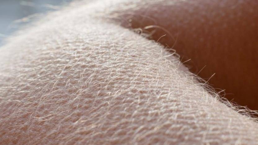 Tüyler neden diken diken olur? İşte tıbbi açıklaması 4