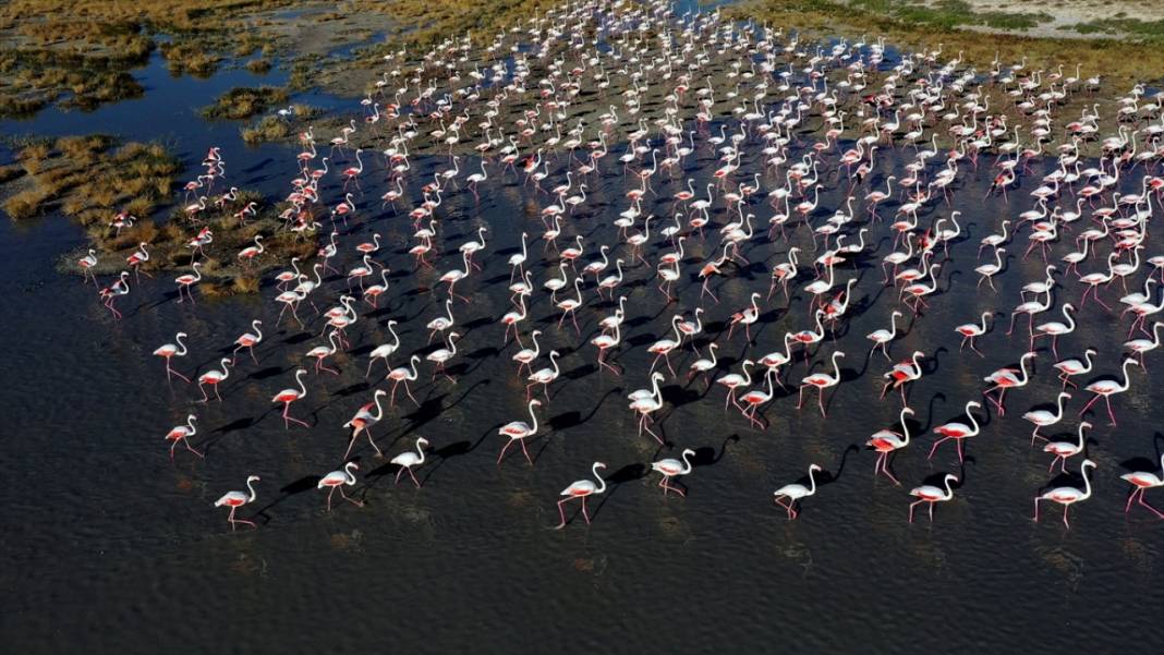 Tuz Gölü'nün faydaları nelerdir? 8