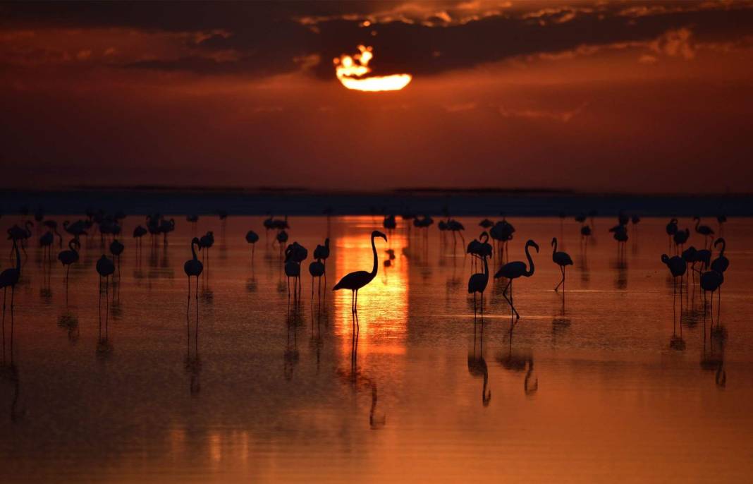 Tuz Gölü'nün faydaları nelerdir? 9