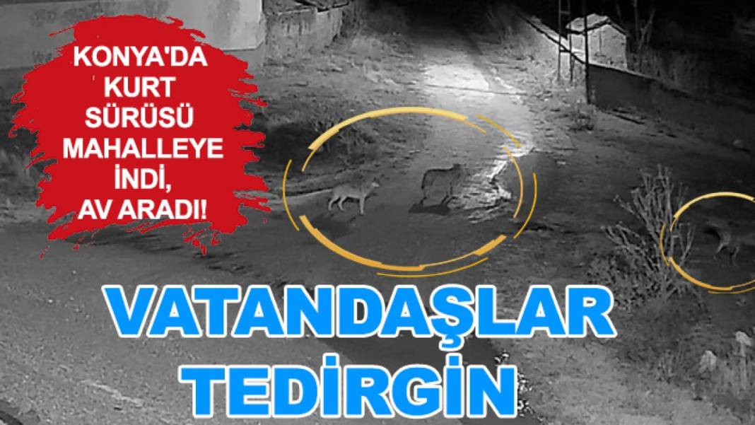 Konya’da bugün neler oldu? 8 Aralık 2025’in öne çıkan gelişmeleri 2