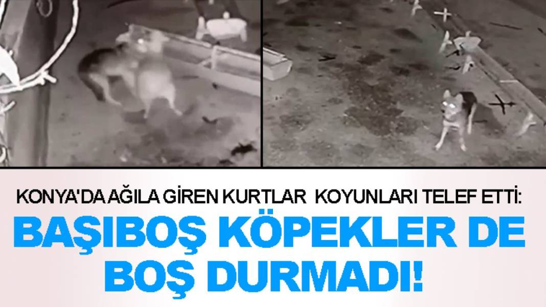Konya’da bugün neler oldu? İşte 15 Aralık Pazartesi günü Konya'da olup bitenler 9
