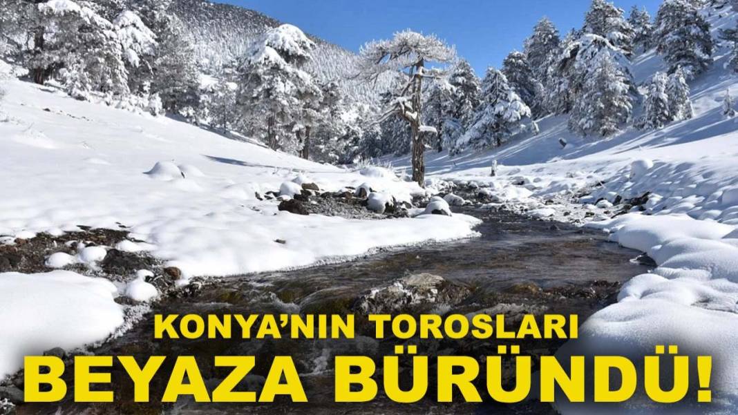 Konya'da bugün neler oldu? Neler oldu neler... 29 Aralık 2025 3