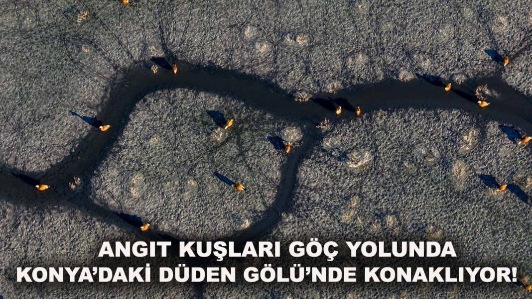 Konya'da bugün neler oldu? Neler oldu neler... 30 Aralık 2025 5