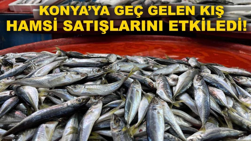 Konya'da bugün neler oldu? Neler oldu neler... 30 Aralık 2025 8