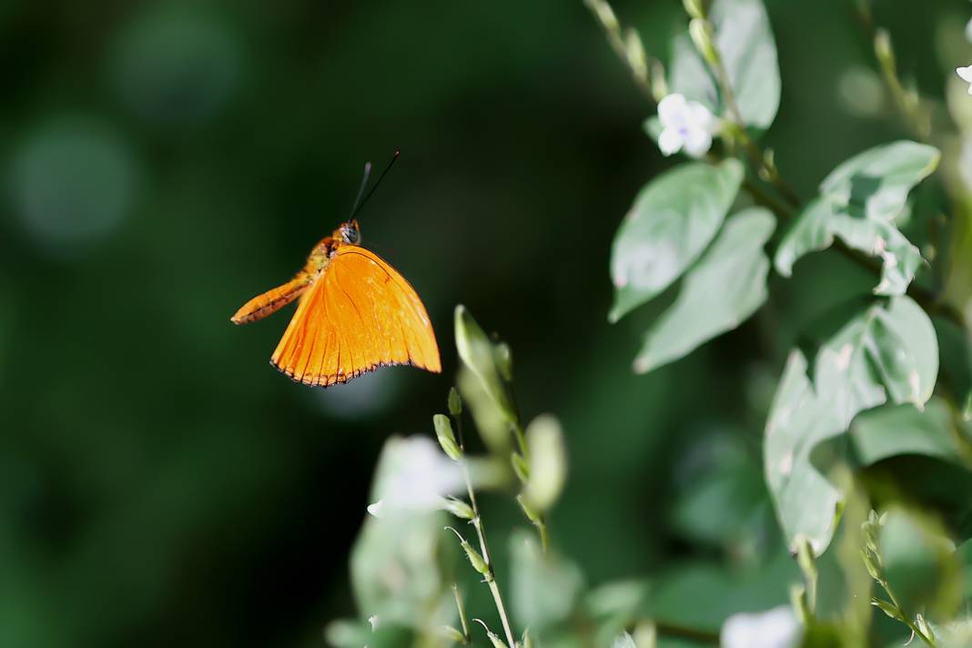 Konya'da Mevlana Müzesi’nden sonra en çok ilgi burada olacak! 3