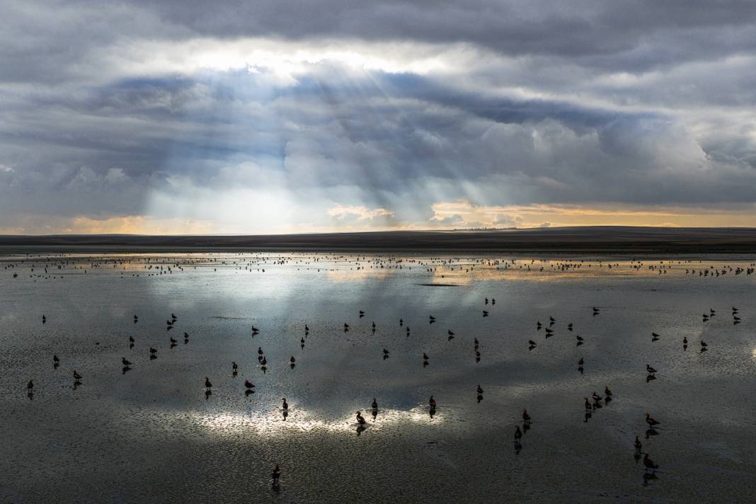 Angıt kuşları göç yolunda Konya’daki Düden Gölü’nde konaklıyor! 3