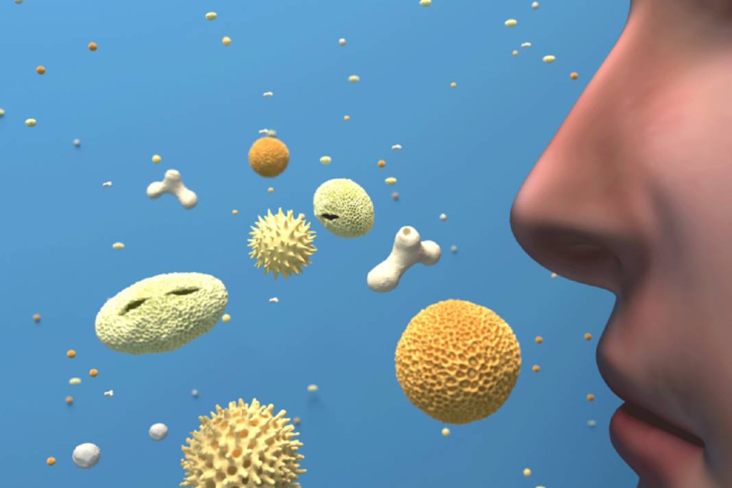 Boğazı yumuşatıp tıkanıklığı açıyor! Soğuk algınlığına karşı en etkili iksirler 12