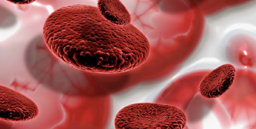 Faydalarını bilen günde bir bardak içiyor! 16