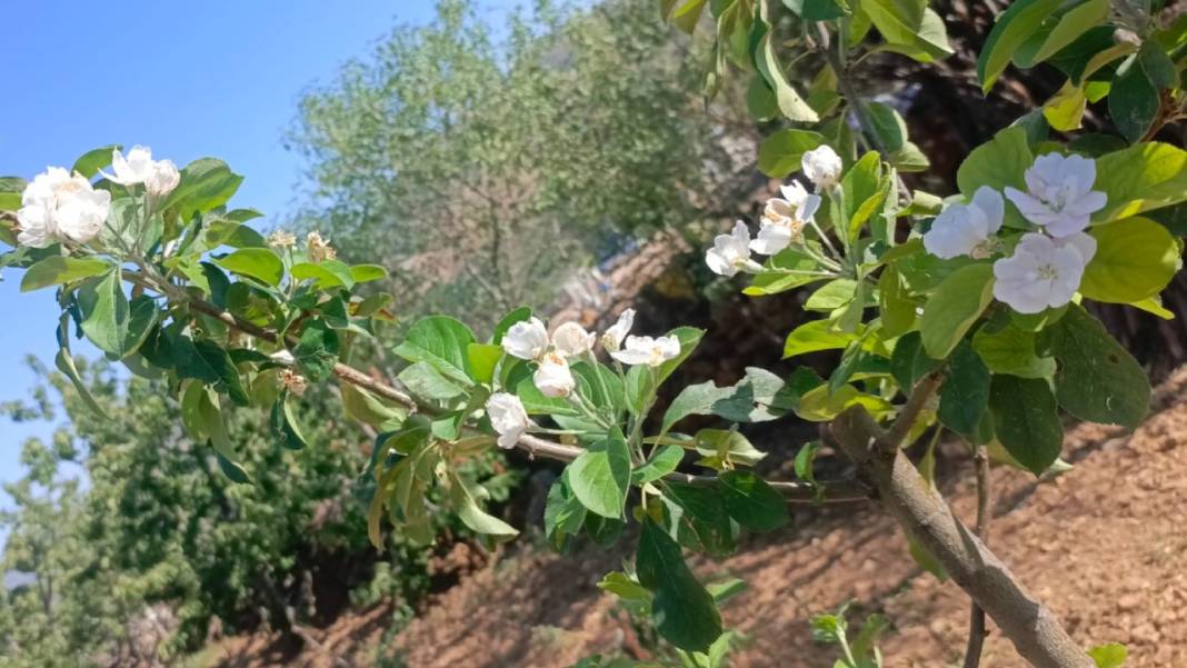 Konya’da 2025 yılında neler oldu? İşte 85 karede Konya’da 2025’in özeti 61