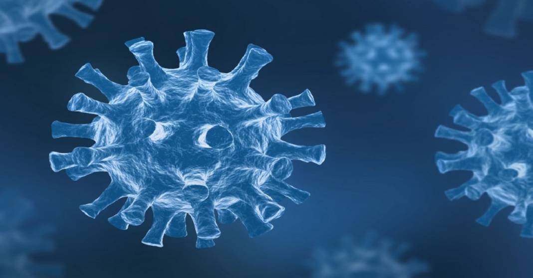 Kış aylarında çocuklarda bağışıklık sistemi nasıl korunur? İşte çocukların bağışıklık sistemine kalkan olacak tavsiyeler 5