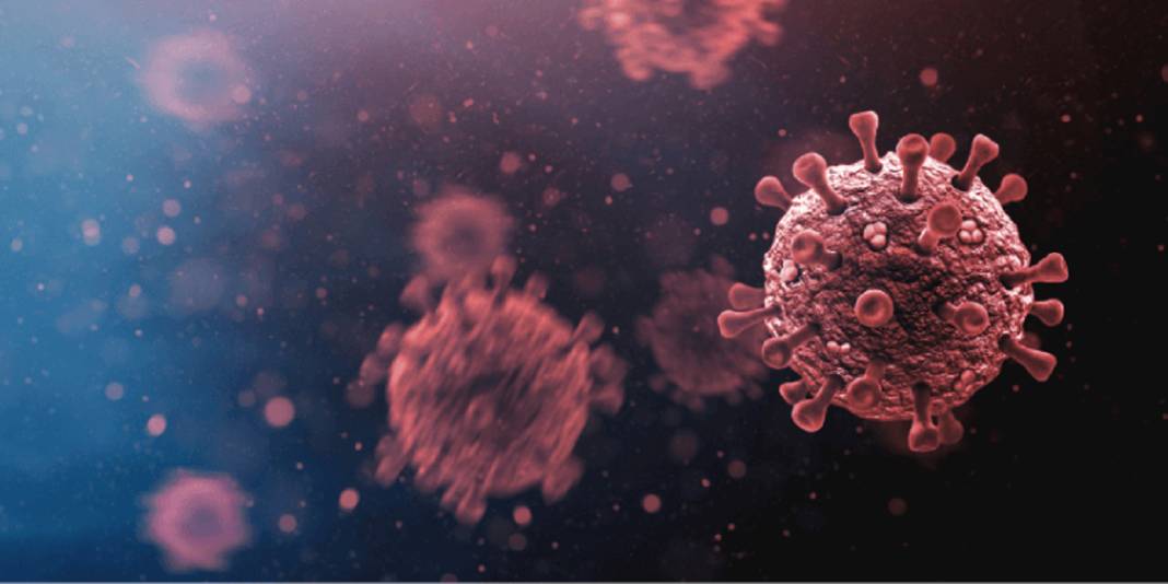 İnfluenza endişesi olanlar dikkat! İşte kendini gösteren ilk belirtiler 1