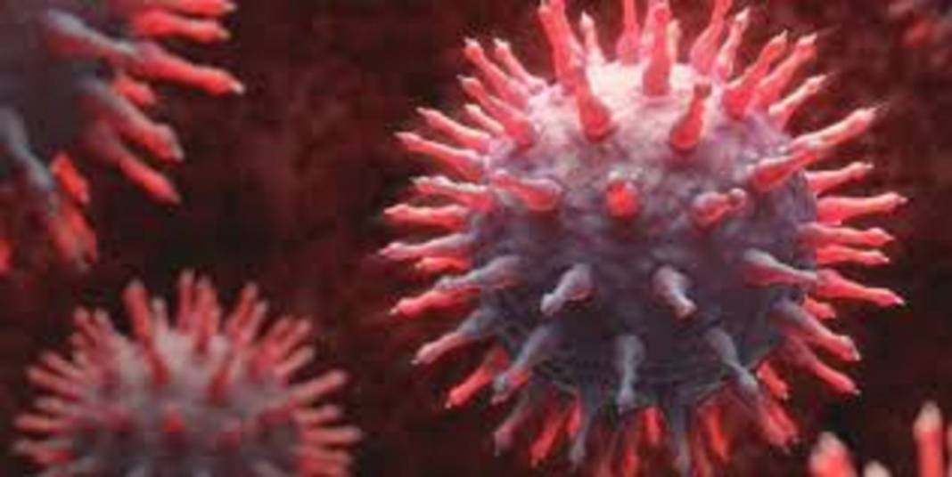 Boğazı yumuşatıp tıkanıklığı açıyor! Soğuk algınlığına karşı en etkili iksirler 15