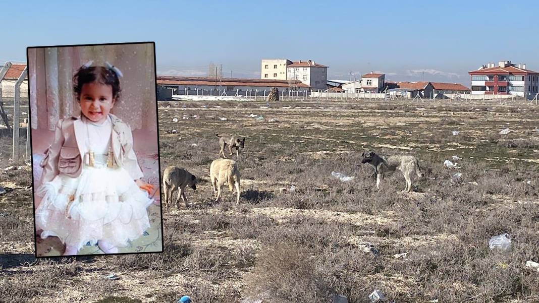 Konya’da 2025 yılında neler oldu? İşte 85 karede Konya’da 2025’in özeti 25