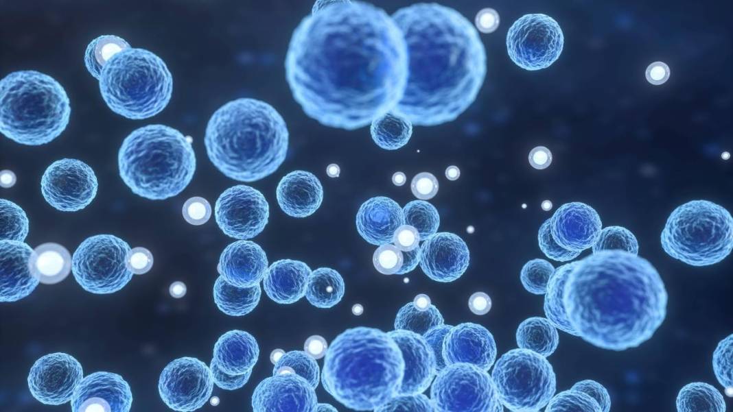 Boğazı yumuşatıp tıkanıklığı açıyor! Soğuk algınlığına karşı en etkili iksirler 4