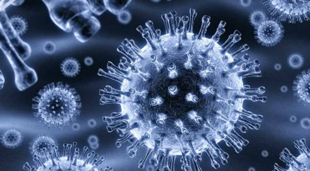 Boğazı yumuşatıp tıkanıklığı açıyor! Soğuk algınlığına karşı en etkili iksirler 3