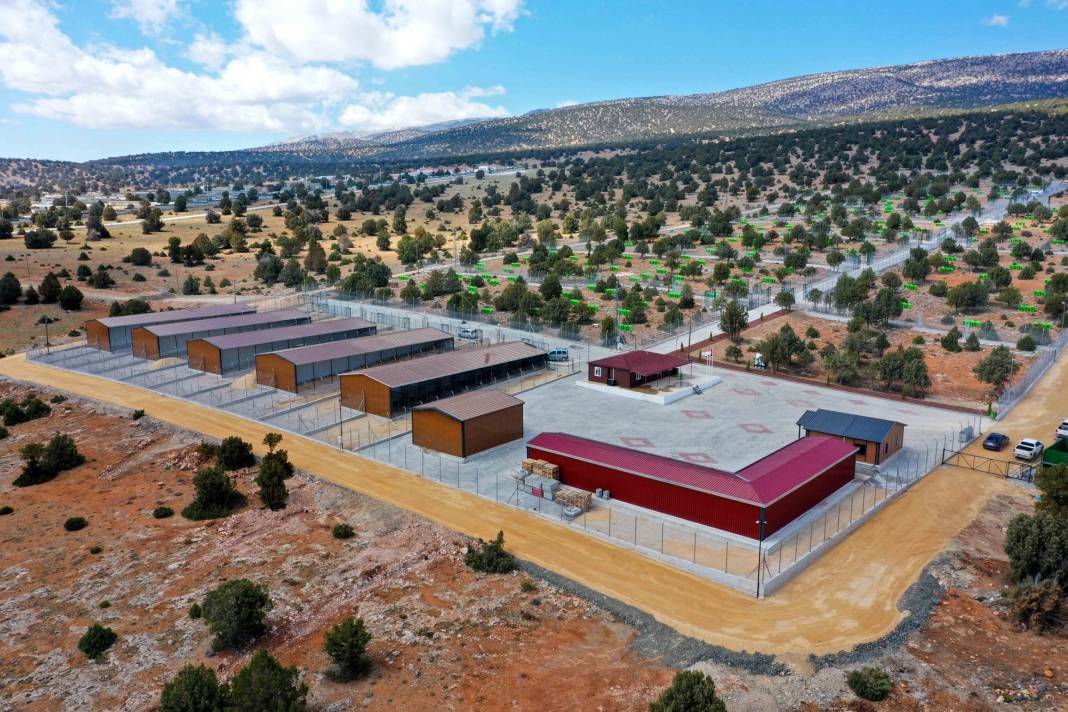 Konya’da 2025 yılında neler oldu? İşte 85 karede Konya’da 2025’in özeti 36