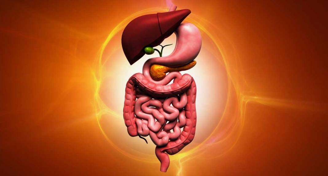 Faydalarını bilen günde bir bardak içiyor! 5