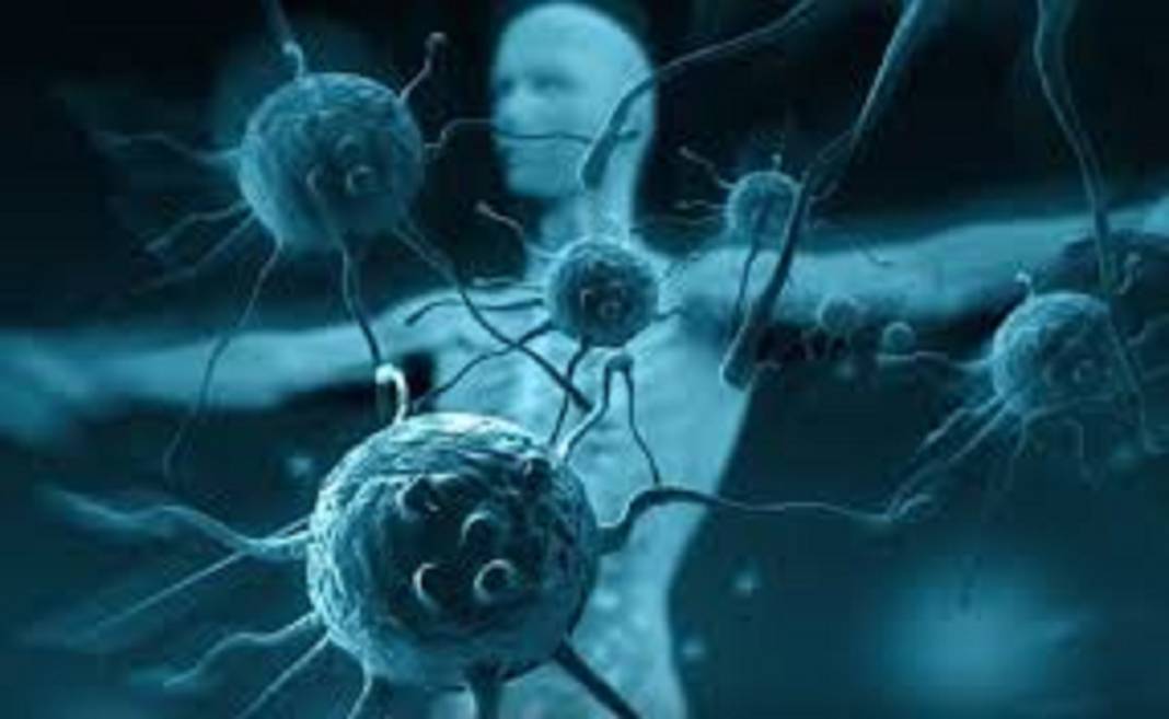 Boğazı yumuşatıp tıkanıklığı açıyor! Soğuk algınlığına karşı en etkili iksirler 2