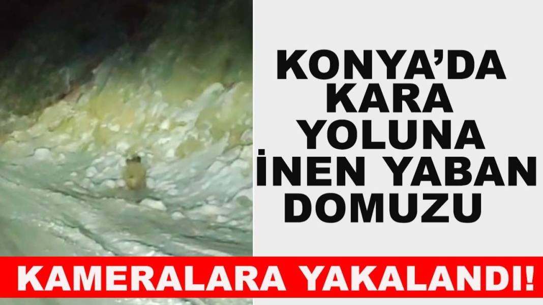 Konya’da bugün neler oldu? İşte 2 Ocak Cuma günü Konya'da olup bitenler 6