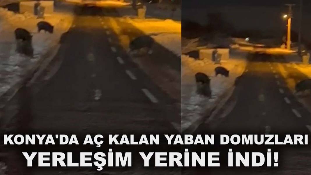 Konya’da bugün neler oldu? İşte 3 Ocak Cumartesi günü Konya'da olup bitenler 9