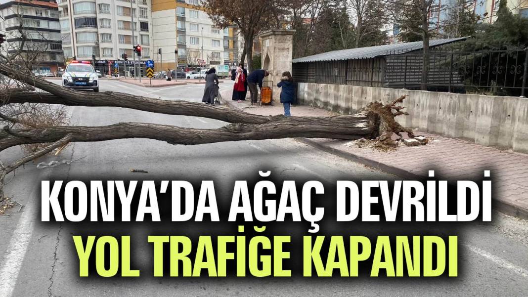 Konya’da bugün neler oldu? İşte 8 Ocak Perşembe günü olup bitenler… 14