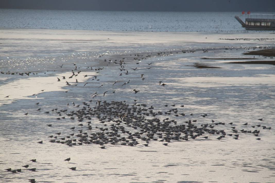Beyşehir Gölü'nde dondurucu soğuk gölü kilitledi 3